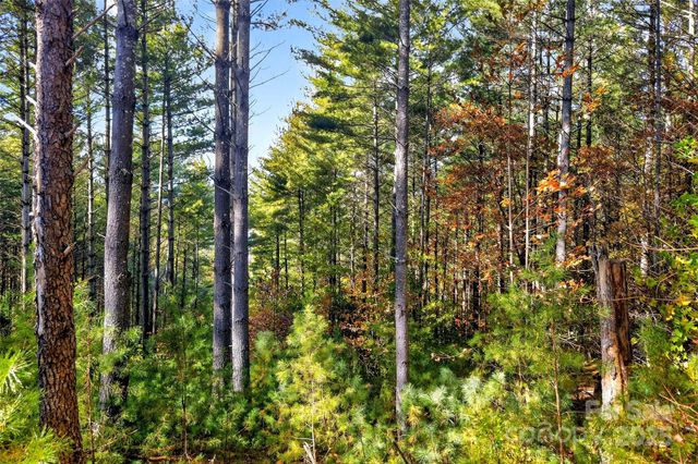 0 West Point Drive, Nebo, NC 28761
