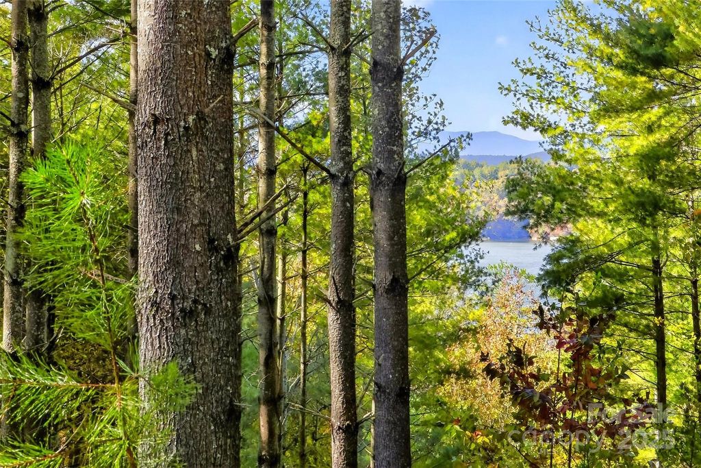 0 West Point Drive, Nebo, NC 28761