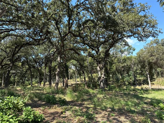 1917 Wildcat Circle, Gholson, TX 76705