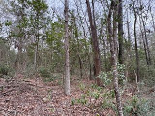 TBD Hinson Hill Road, Livingston, TX 77351