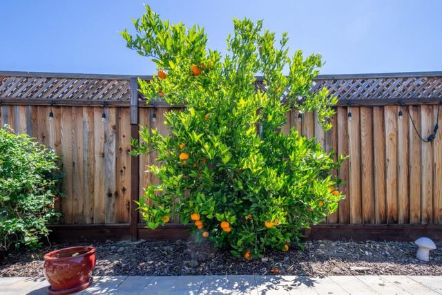 4474 Poinsettia Court, San Jose, CA 95136