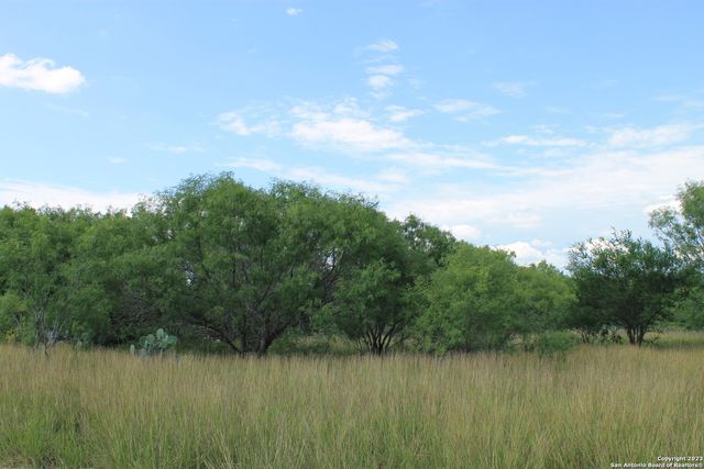 755 PR Mia Ln, Floresville, TX 78114