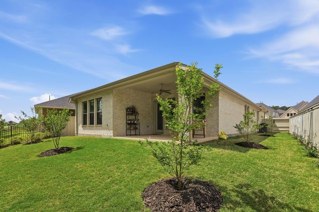 311 Bananaquit Way, Magnolia, TX 77354