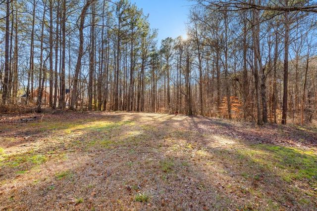 111 Cook Lane, Newnan, GA 30263