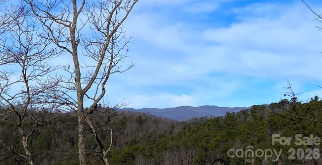 TBD Ruffed Grouse Road L045, Brevard, NC 28712