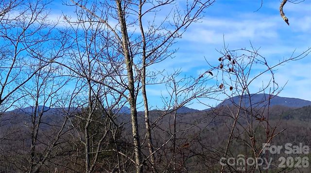 TBD Ruffed Grouse Road L045, Brevard, NC 28712