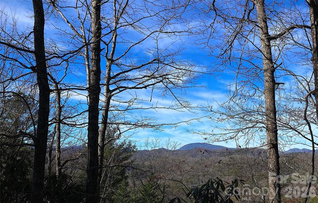 TBD Ruffed Grouse Road L045, Brevard, NC 28712