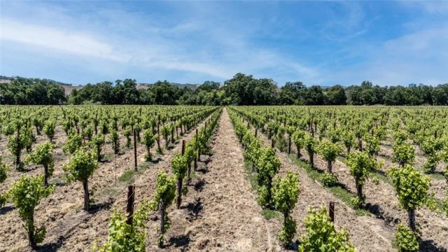 270 Soda Bay, Lakeport, CA 95453