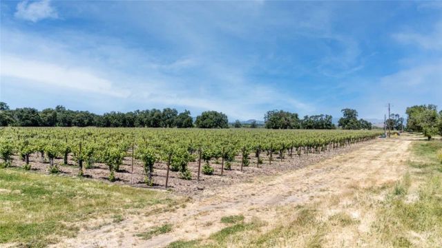 270 Soda Bay, Lakeport, CA 95453