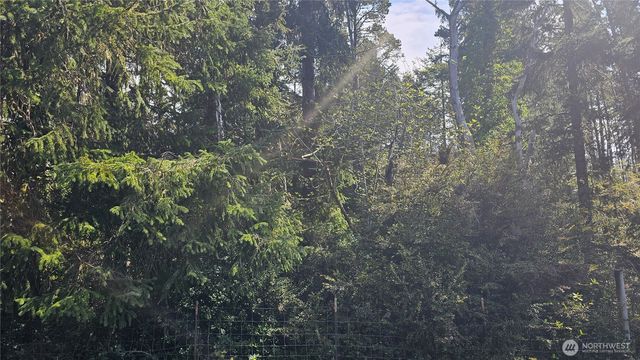 24402 P Street, Ocean Park, WA 98640