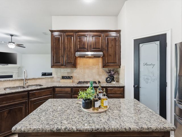 2313 Frosted Willow Lane, Fort Worth, TX 76177