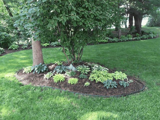 889 19th Drive, Arkdale, WI 54613