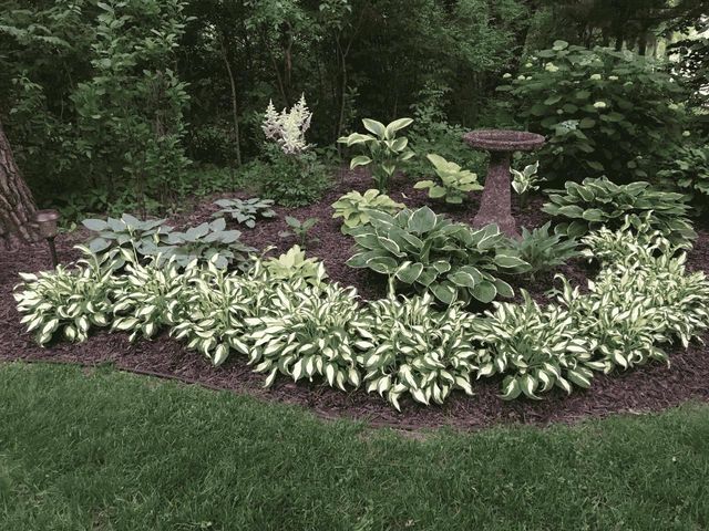 889 19th Drive, Arkdale, WI 54613