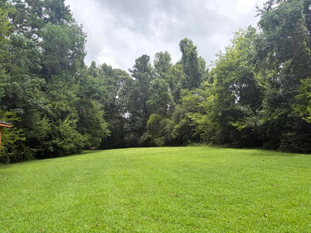 131 Highwoods Plantation Avenue, Summerville, SC 29485