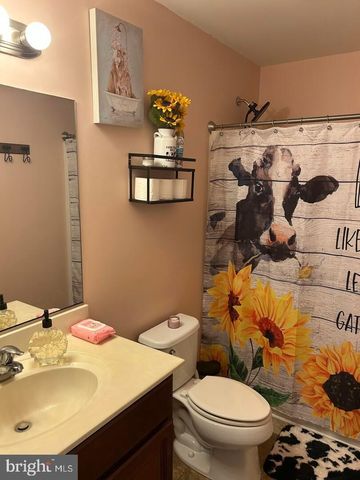 169 MEDAL WAY, Magnolia, DE 19962