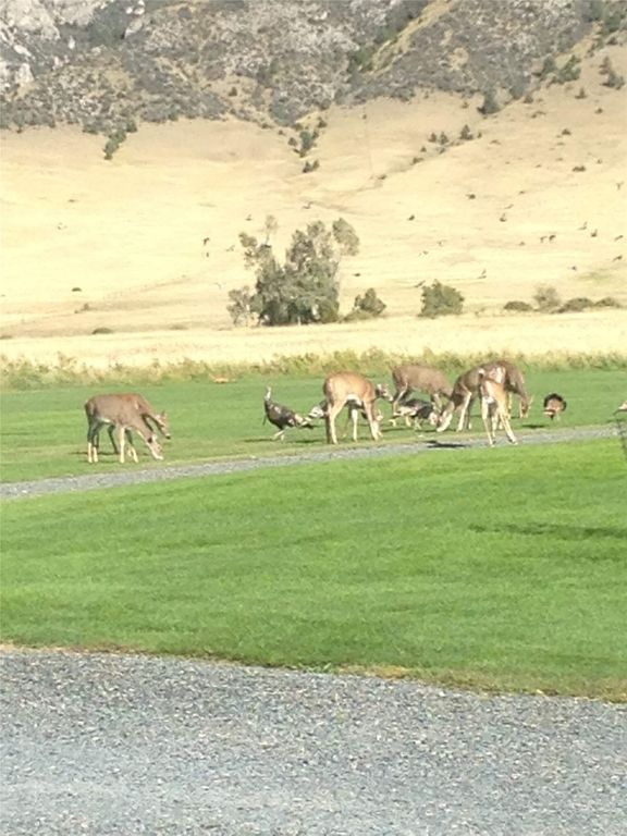 316 Point of Rocks Road, Whitehall, MT 59759 photo 5