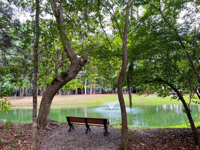 408 S Elgin Court, Charleston, SC 29414