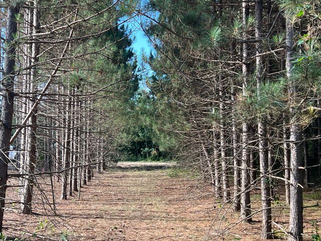 Lot 6 See Gull Cove, Brainerd, MN 56401