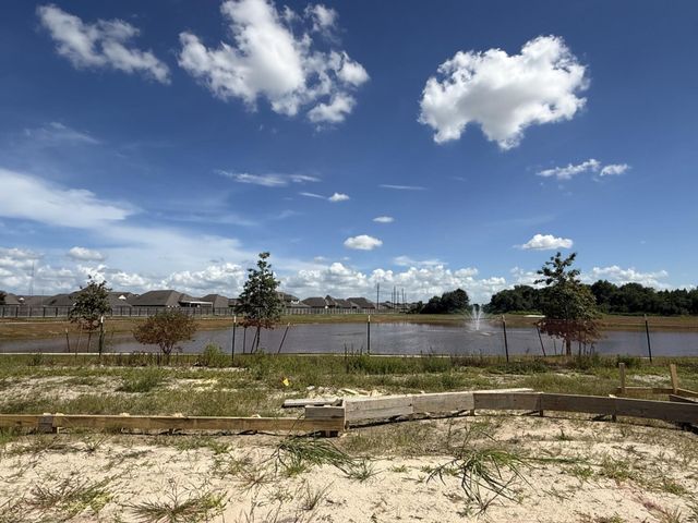 18706 Windy Orchard, Manvel, TX 77578