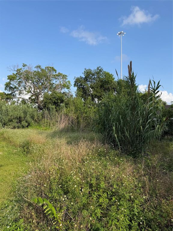 2010 Brackenridge Lot A Street, Houston, TX 77026