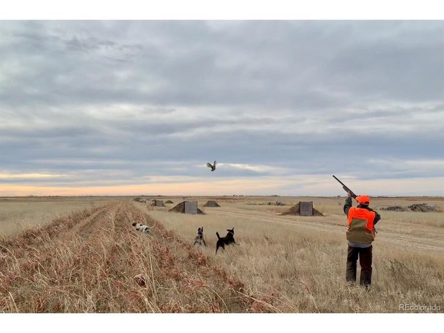 8660 County Road 5, Joes, CO 80822