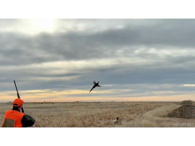 8660 County Road 5, Joes, CO 80822