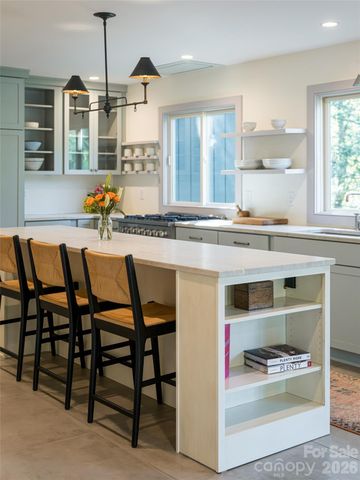 17 Beaverdam Court, Asheville, NC 28804