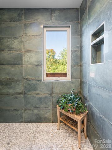 17 Beaverdam Court, Asheville, NC 28804