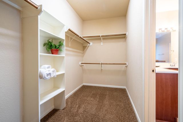 138 Magnolia Grove Lane, Conroe, TX 77384