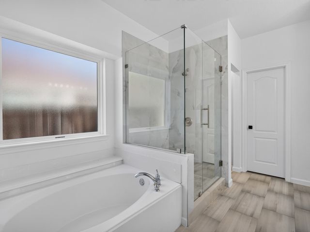 1712 Elm Spring Court, Allen, TX 75002
