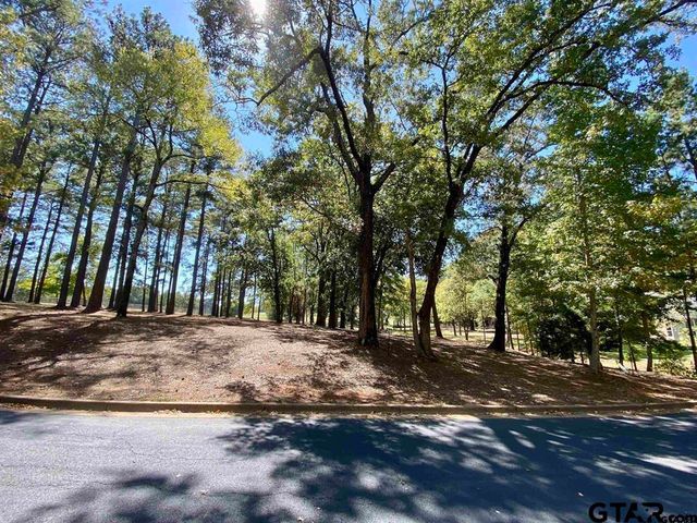 Lot 28 Leisure Ln, Frankston, TX 75763