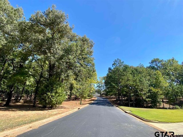 Lot 28 Leisure Ln, Frankston, TX 75763