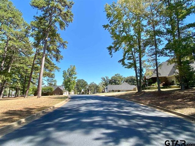Lot 28 Leisure Ln, Frankston, TX 75763