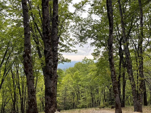 14437 Lightning Tree Rd, Nevada City, CA 95959