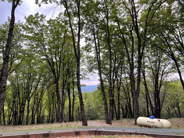 14437 Lightning Tree Rd, Nevada City, CA 95959