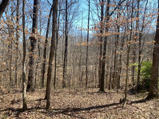 0 Anderson Rd, Pegram, TN 37143