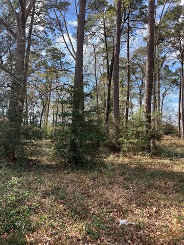 TBD 350 North, Livingston, TX 77351