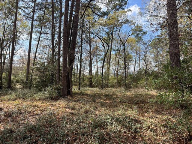 TBD 350 North, Livingston, TX 77351