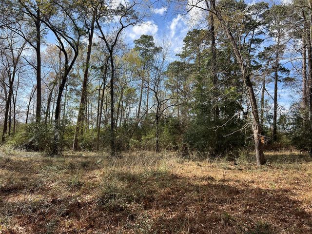 TBD 350 North, Livingston, TX 77351