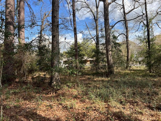 TBD 350 North, Livingston, TX 77351