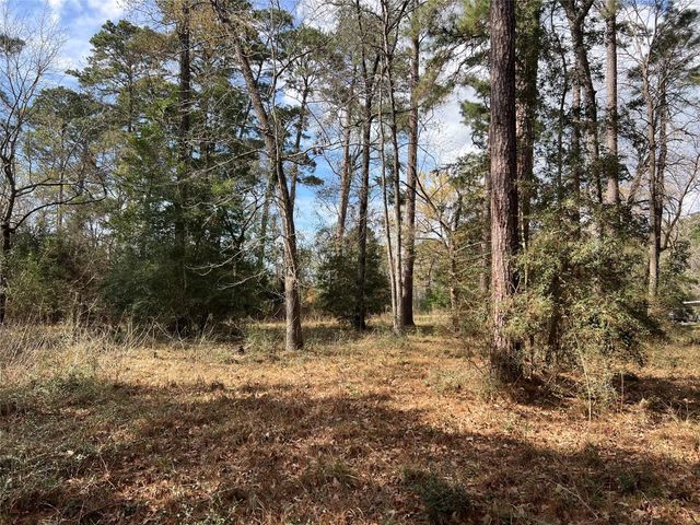 TBD 350 North, Livingston, TX 77351