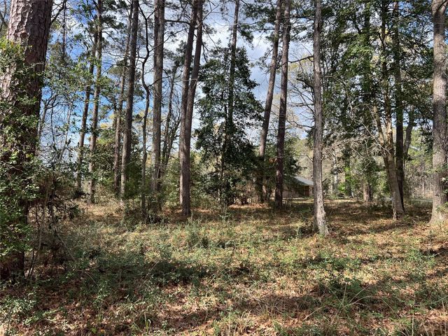 TBD 350 North, Livingston, TX 77351