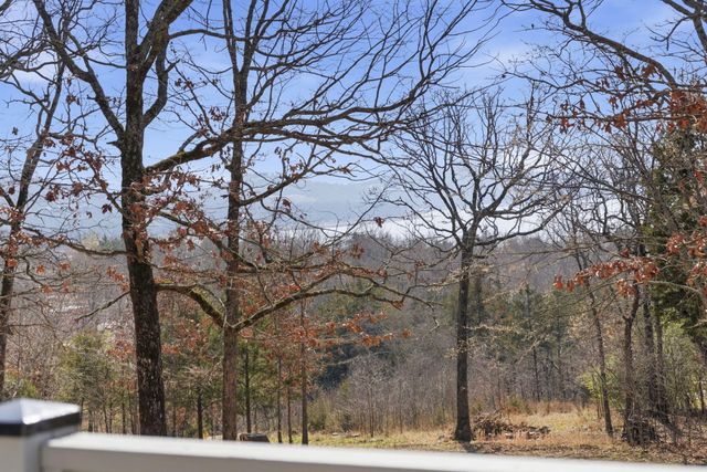 24 Lands End, Kimberling City, MO 65686