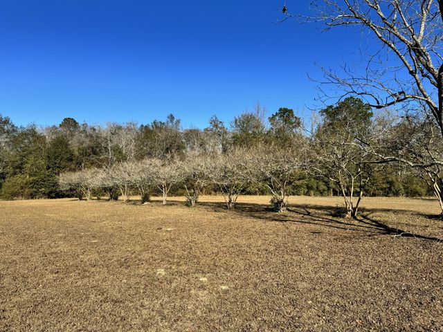 2864 Sixth Street, Florala, AL 36442