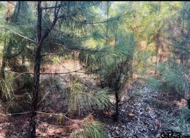 22847 FM 2215, Frankston, TX 75763