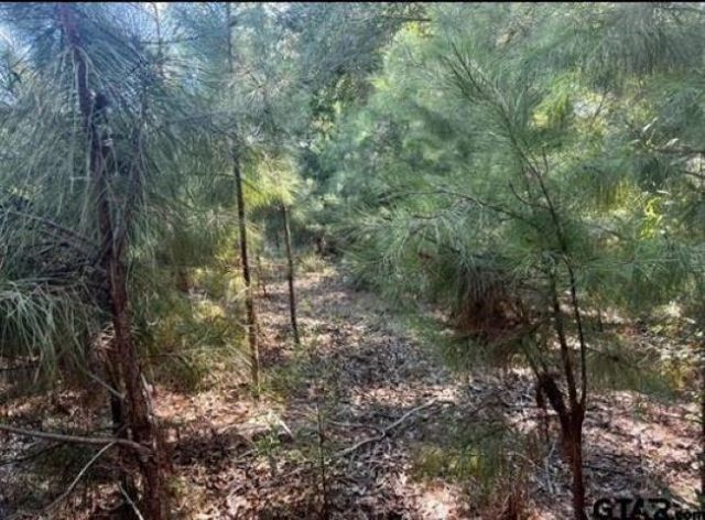 22847 FM 2215, Frankston, TX 75763