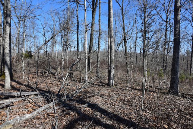 0 White Oak Rd, Stewart, TN 37175