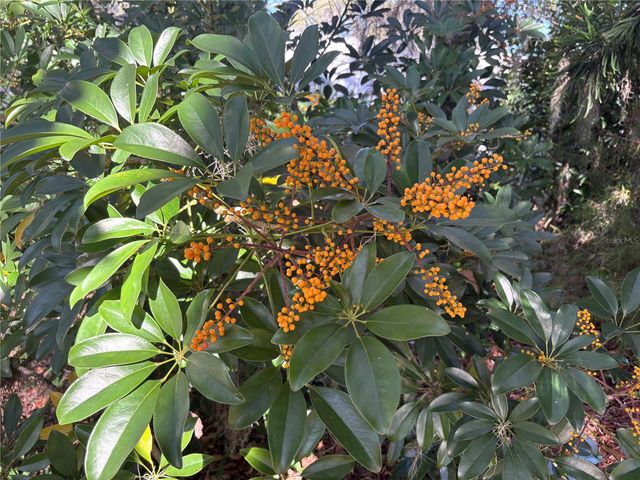 324 ALEMANDER AVENUE, Debary, FL 32713