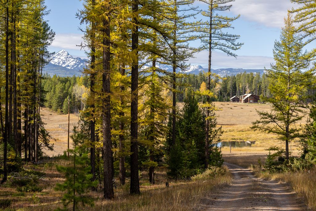 699 Glacier-Elk Creek Road, Condon, MT 59826 photo 102