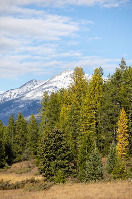 699 Glacier-Elk Creek Road, Condon, MT 59826 photo 106